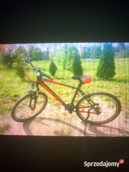 Rower górski MTB INDIANA XPulser 16 M19 26 męski Stary Brus