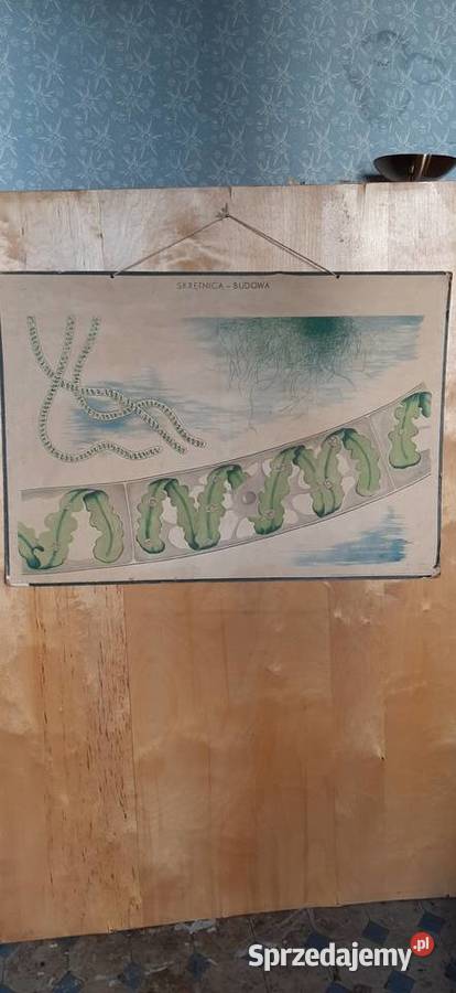 Tablice edukacyjne prl