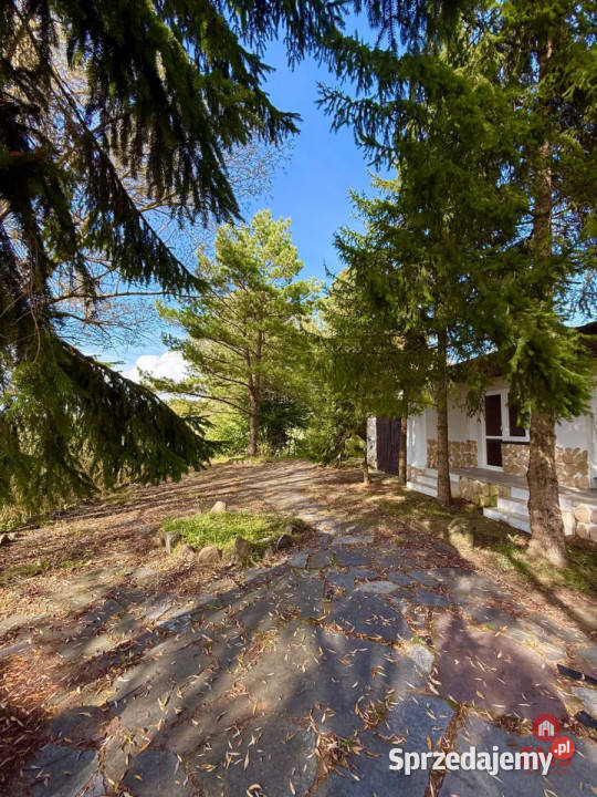 sprzedaży domu wolnostojącego Sajzy 270m2 warmińsko-mazurskie