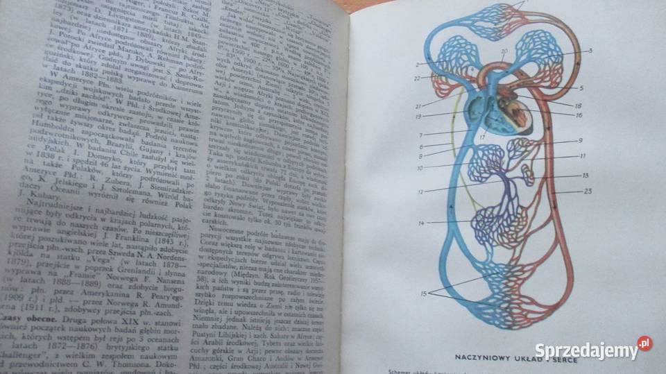 Encyklopedia Przyroda i Technika przyroda Książki naukowe i popularnonaukowe łódzkie Łódź sprzedam