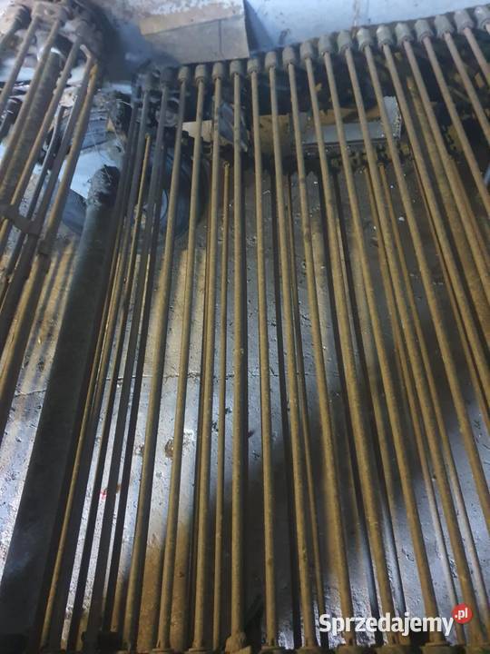 Kopaczka do ziemniaków kujawsko-pomorskie Dąbrowa Biskupia sprzedam