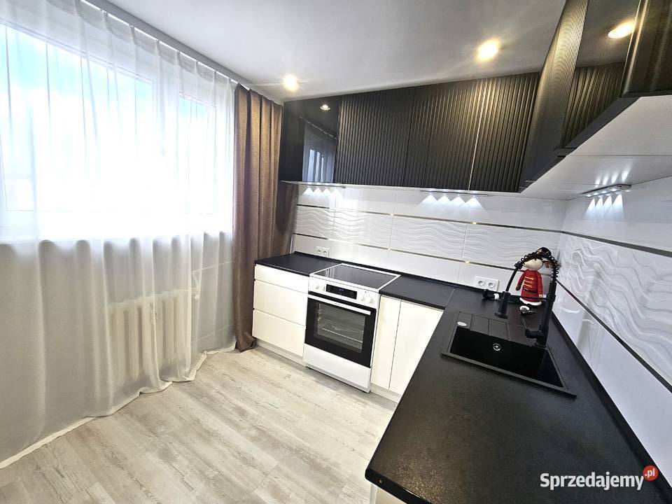 Będzin Rewolucjonistów bezpośrednio właściciela papa