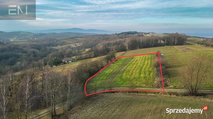 Działka 4300m Gogołów Sprzedaż