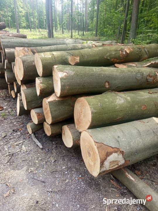 Drewno opałowe świętokrzyskie Staszów
