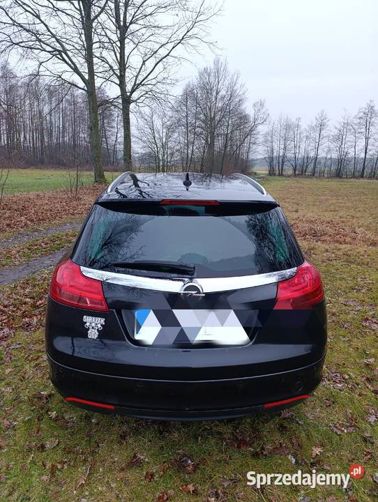 Sprzedam zadbanego Opla Insignia Rok produkcji 2012 mazowieckie Nasielsk sprzedam