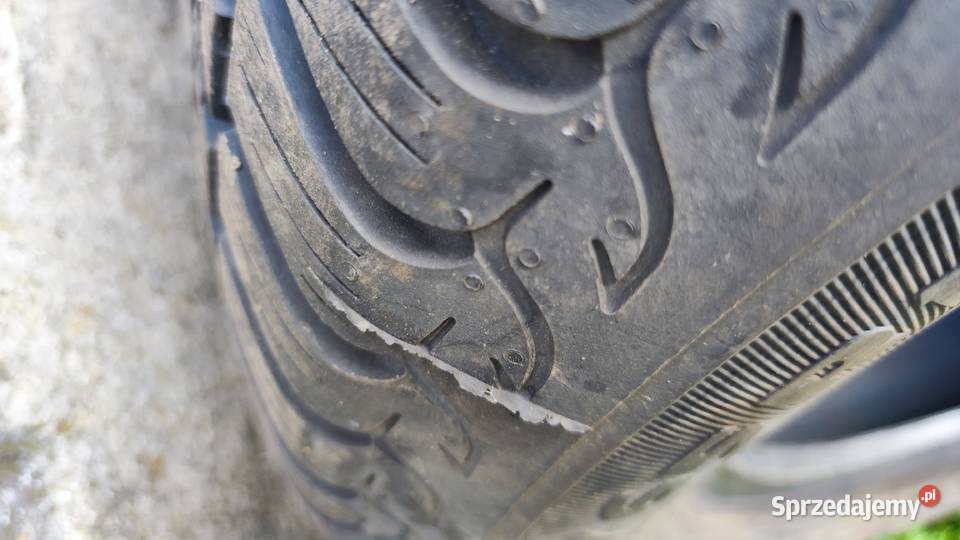 Opony Zimowe Dębica Frigo Hp2 195 65 R15 osobowe sprzedam