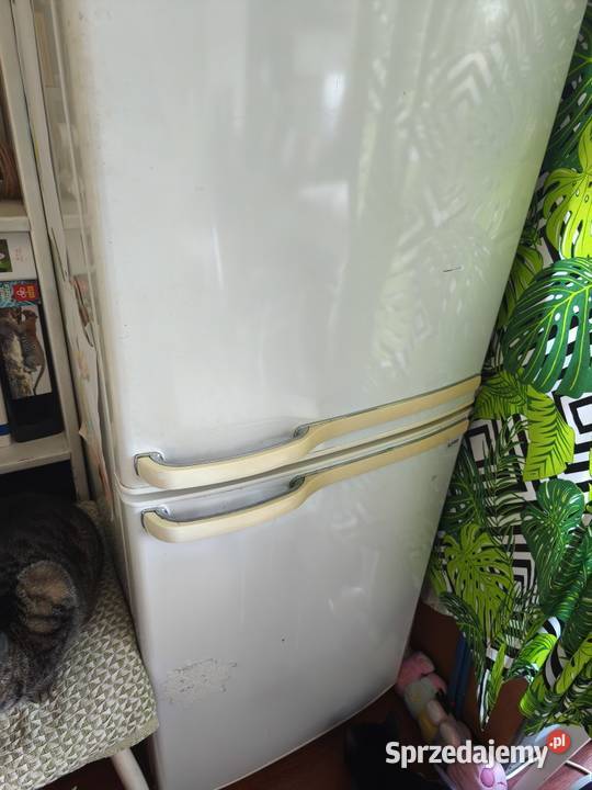 Lodówka Samsung używana działająca 150 Dęblin sprzedam