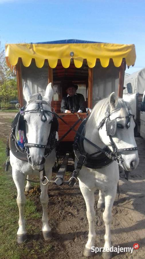 bryczki uprząż wz cygański przyczepa koni Gawartowa Wola sprzedam