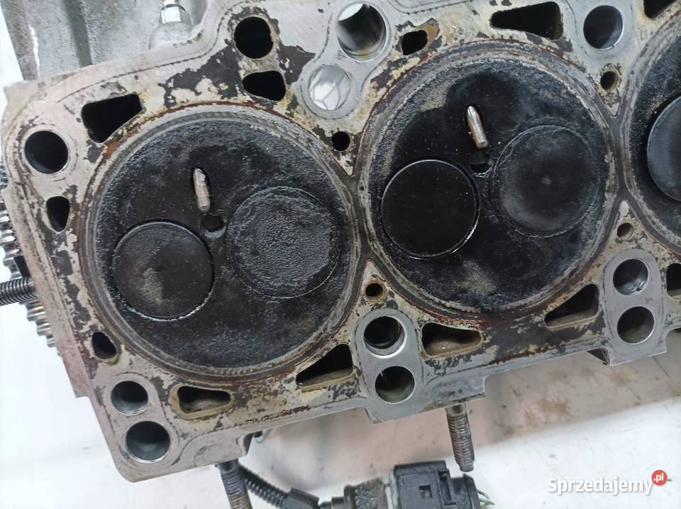 GŁOWICA KOMPLETNA 037103373R 19 TDI VW Rok produkcji 2006