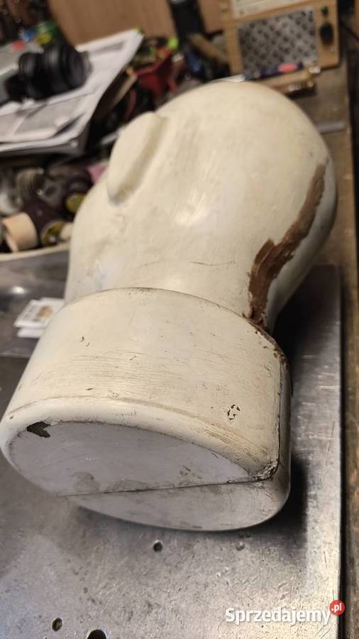 Model ludzkiej głowy