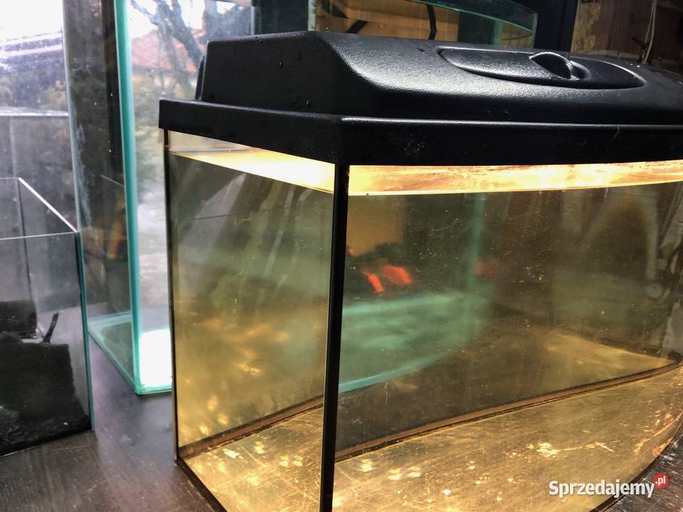 Akwarium panoramiczne 80 pokrywa oświetlenie Akcesoria dla zwierząt Justynów