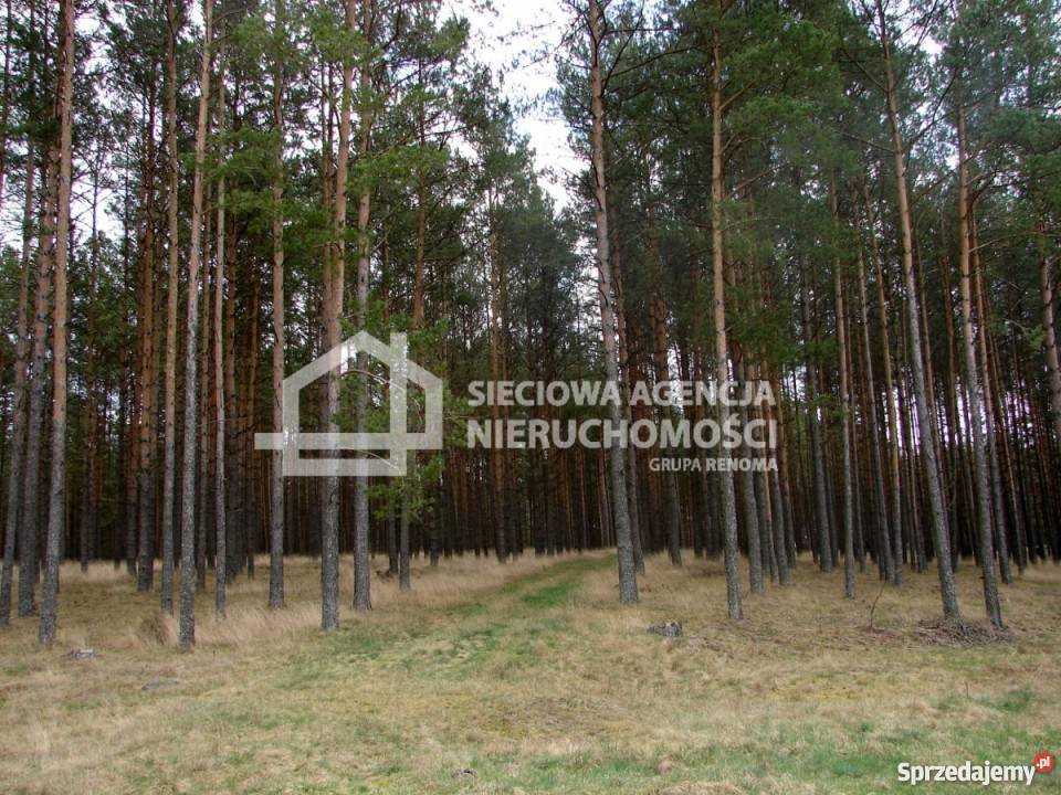 Sprzedaż działki 165900m2