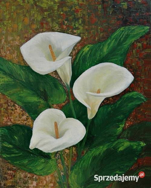 Obraz olejny Kalie Lublin