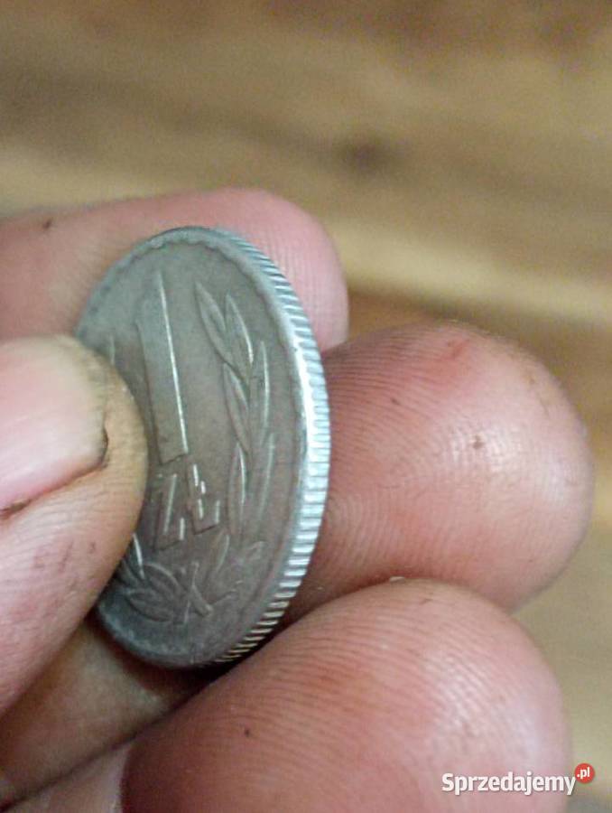Sprzedam vc 1 zloty 1966r Chełm