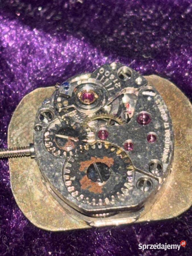 GENEVE Koszalin