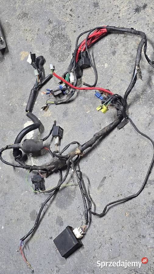 Wiązka kompletna tzr am6 yamaha senda Wiązki elektryczne Łańcut