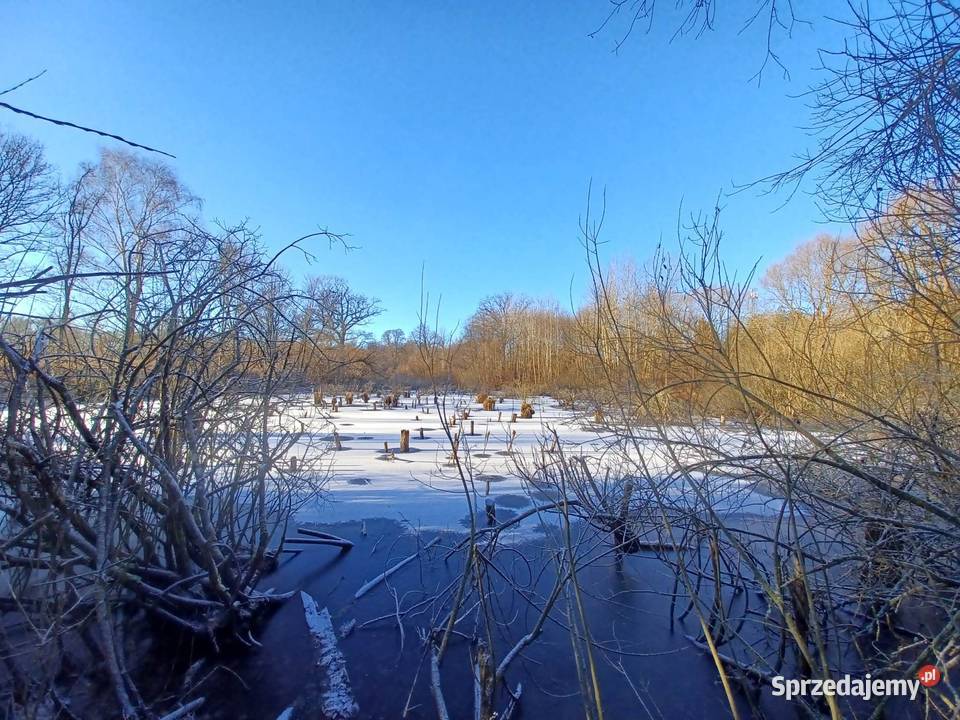 Działka z własnym jeziorem Krągłe sprzedam