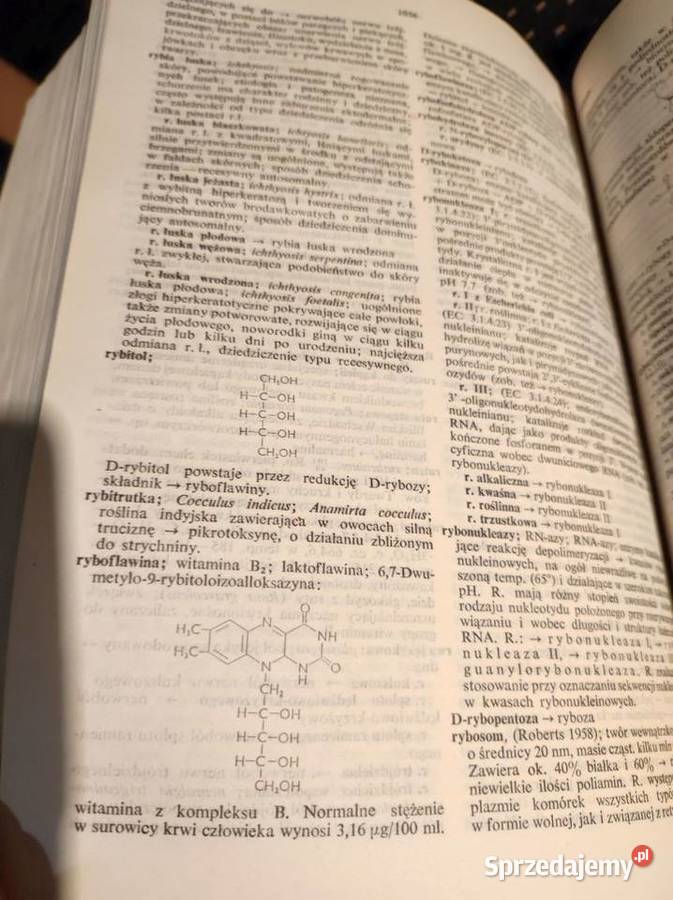 polski słownik medyczny twarda Kielce