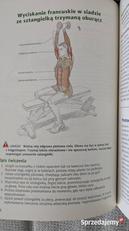 Anatomia w piłce nożnej miękka sprzedam