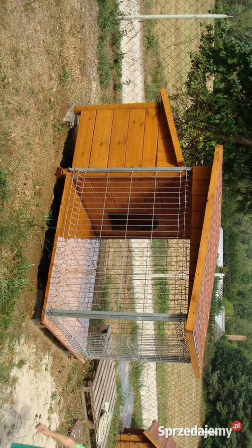 buda kojec zagroda psa i psów boks woliera Skierniewice