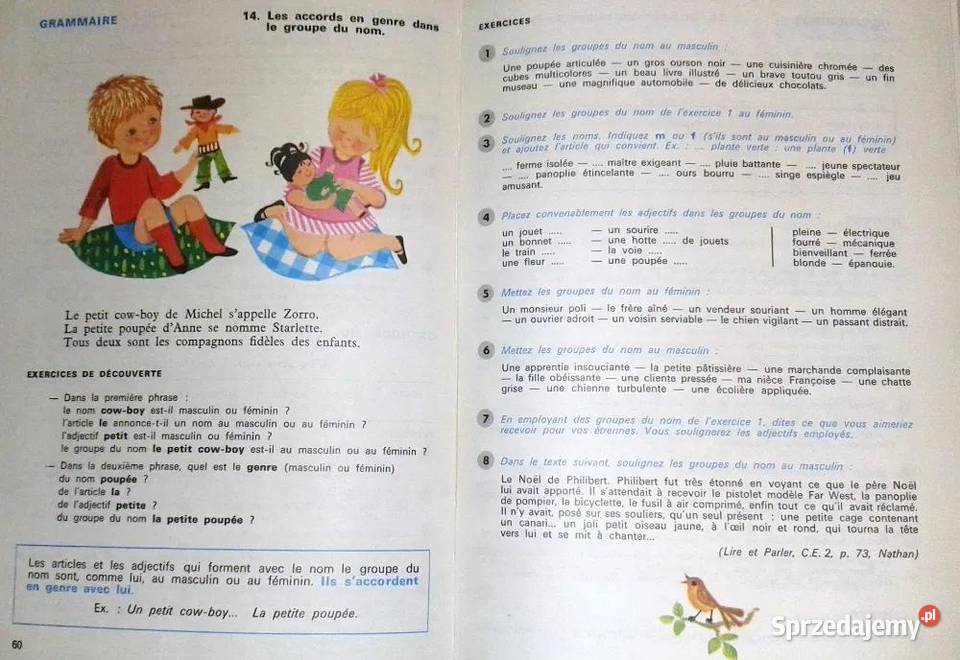 Grammaire pour Ecrire et Parler P Delpierre F Chełm sprzedam
