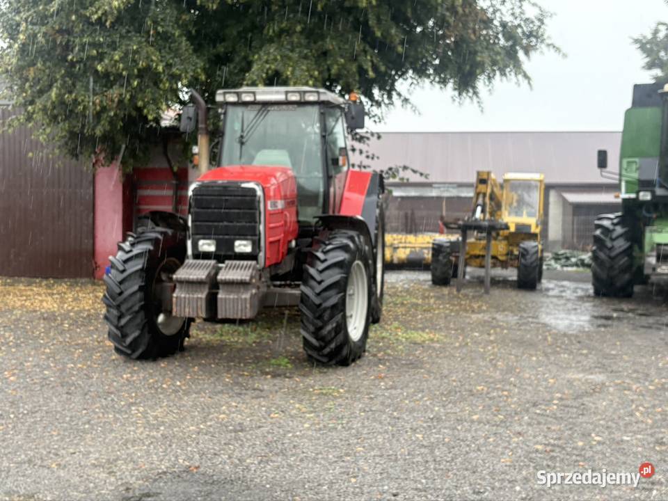 Massey Ferguson 8160 dolnośląskie Żdanów