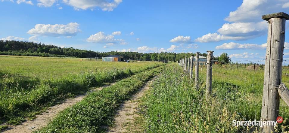 Działka bud Bobrowniki 1076M2 1208M2 WZ dookoła Sprzedaż