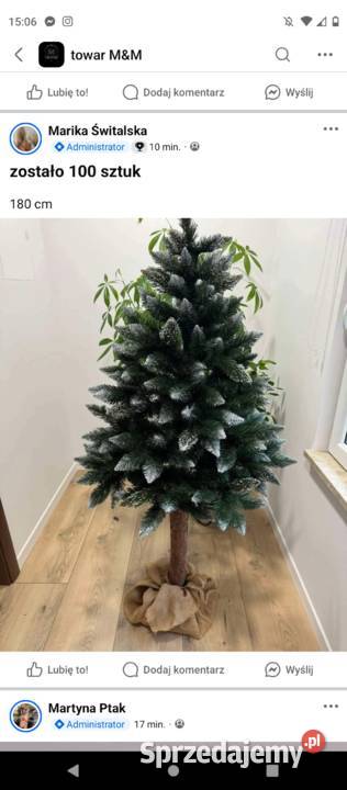 Sprzedam choinkę Brzeziny
