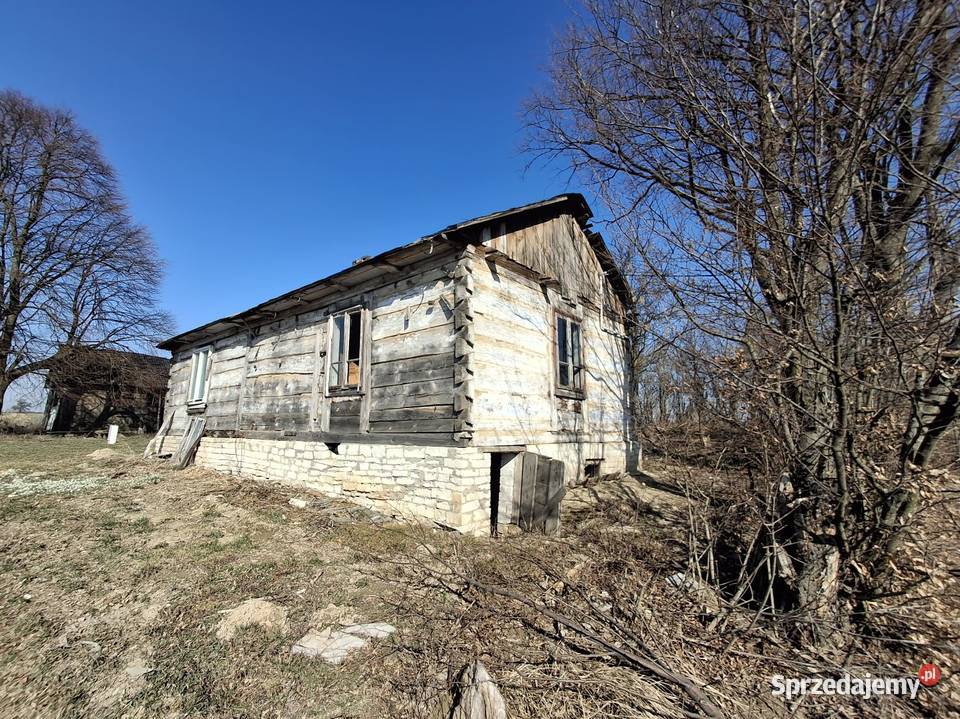 Siedlisko na końcu świata bez sąsiadów 30 4000m2 Sprzedaż Choiny sprzedam