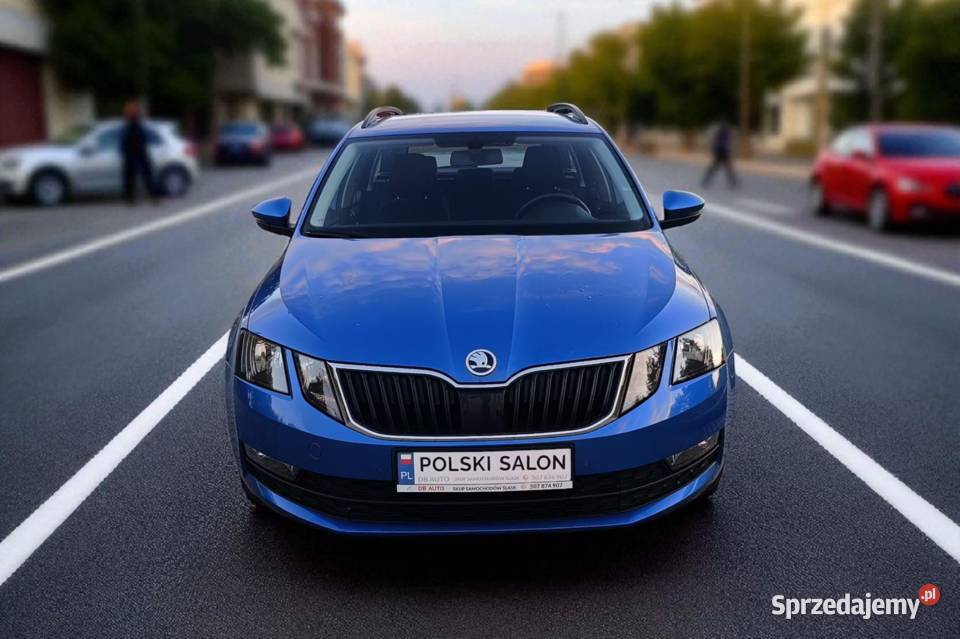 Polski Salon 1 właściciel Gwarancja Bezwypadkowy Bełk