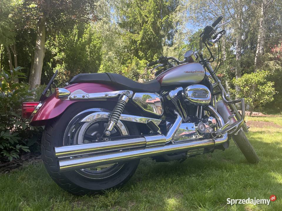 Harley Dawidson XL1200C Warszawa
