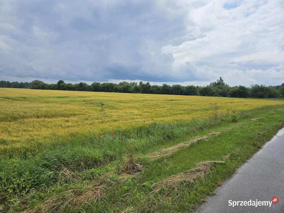 Sprzedam działkę rolną 903ha 6zł/m2 Zalasocze