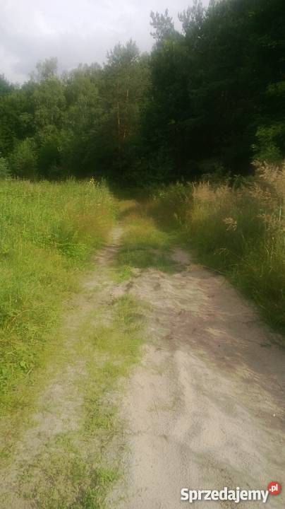 Domek w lesie Grabowce Dolne sprzedam