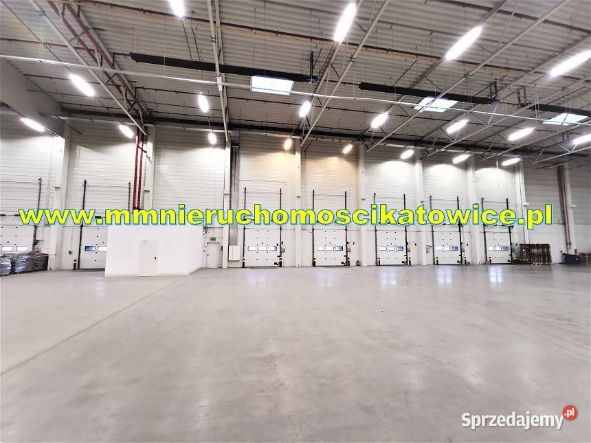 Powierzchnie magazynowe 200 m2 do 10000 m2 z Wynajem Będzin