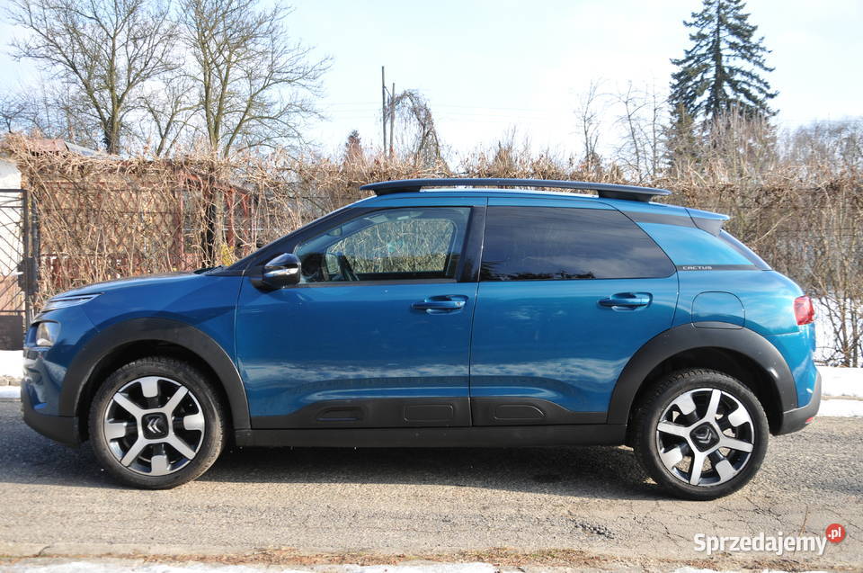 Citron C4 Cactus PureTech 110 StopStart Feel 110KM Zawiercie