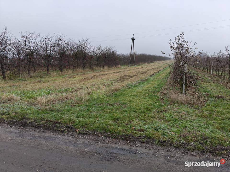 Syndyk sprzeda Glinki