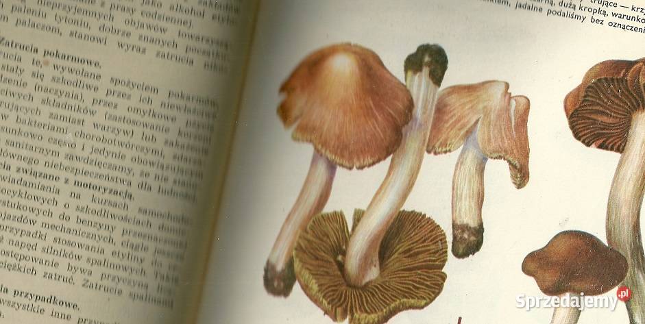 Lekarski poradnik domowy red BZaremba 1973 łódzkie Łódź