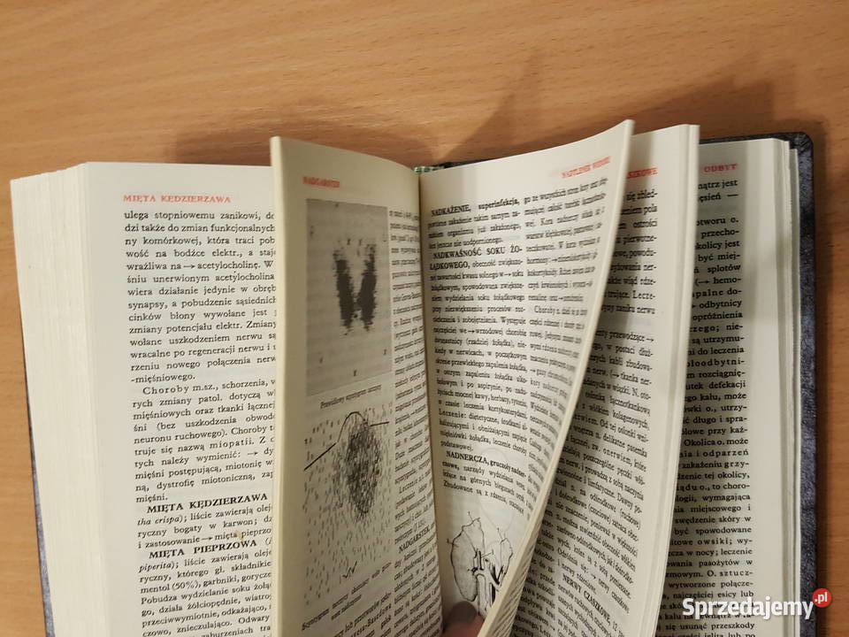 MAŁA ENCYKLOPEDIA MEDYCYNY 2 tomy Tadeusz encyklopedie, słowniki, leksykony Złotniki