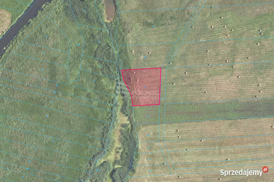 Łąka Horbów Kolonia gm Zalesie pow bialski lubelskie Horbów-Kolonia