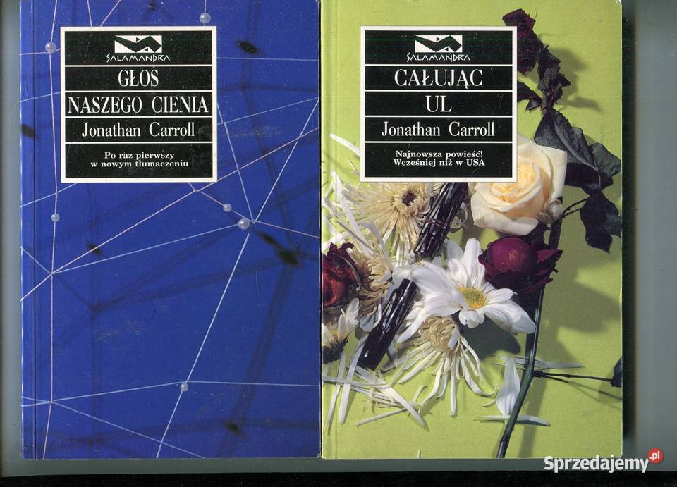 Głos naszego cienia Całując Jonathan Carroll Pozostałe Szczecin