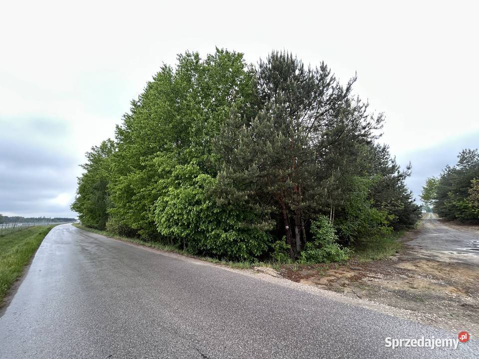 Sprzedam działkę rolną zadrzewioną 1550m2 trasie lubelskie Kock