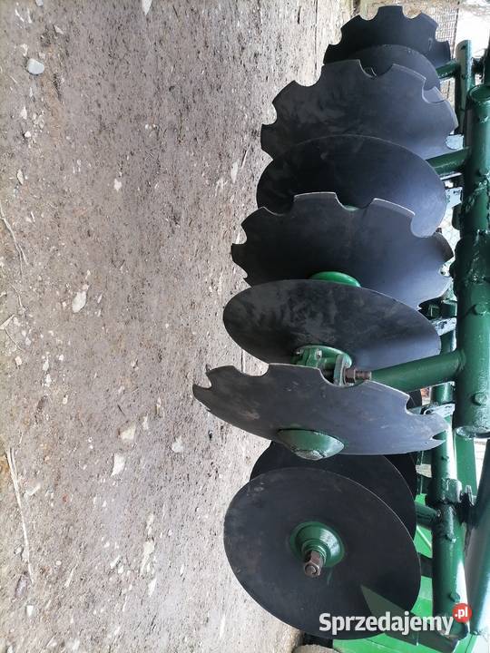 Talerzówka famarolu Słupsk podkarpackie Osobnica sprzedam