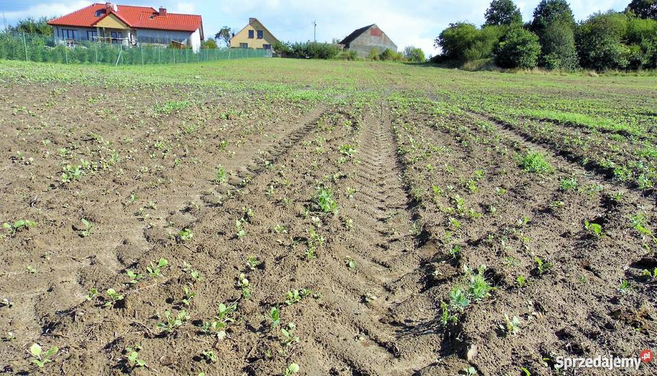 Sprzedam Działkę Krasnołęka