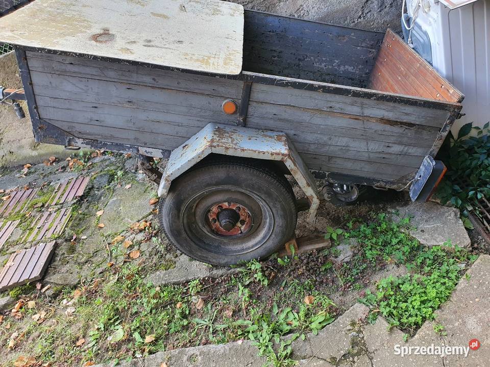 Przyczepka samochodowa sam Motoryzacja wielkopolskie