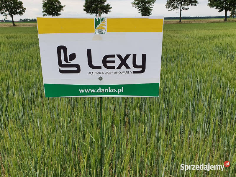 Jęczmień jary browarny RTG Planet Lexy Top Farms