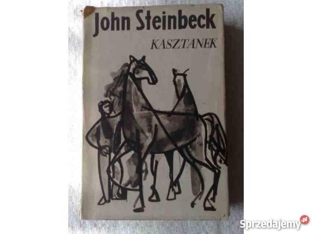 John Steinbeck KASZTANEK i inne opowiadania Katowice