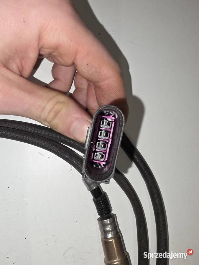 Sonda lambda tylna Audi A4B6 30 ASN warmińsko-mazurskie