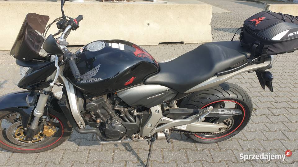 Honda hornet cb600f lubuskie Sulechów sprzedam