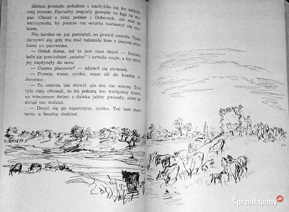 Gorące wici Janusz Teodor Dybowski Chełm sprzedam