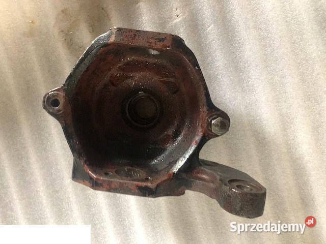 JLG Zwrotnica Carraro wielkopolskie Jastrzębniki sprzedam